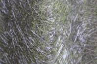 Hatherton fibreglass roof work